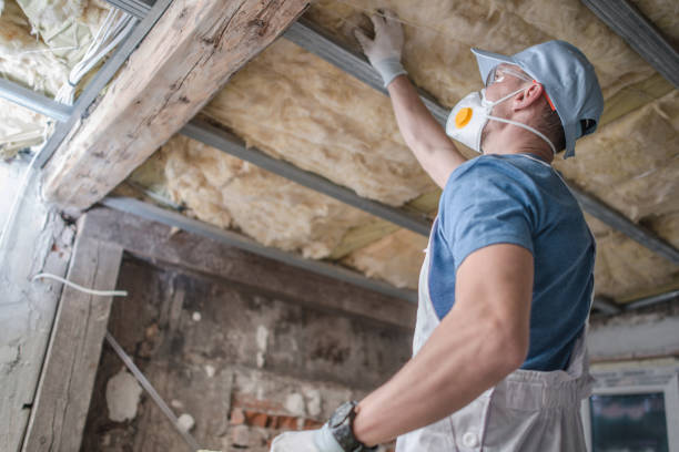 Best Insulation Maintenance and Repair in Steilacoom, WA
